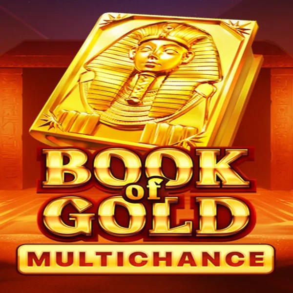Book of Gold Multichance logo by Playson Pino Casino