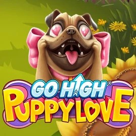 Go High Puppy Love logo by RubyPlay at Pino Casino