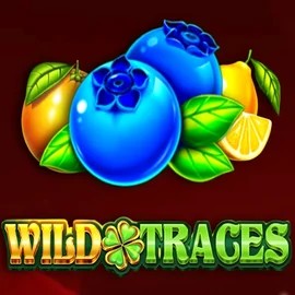 Wild Traces logo by Amusnet Interactive Pino Casino